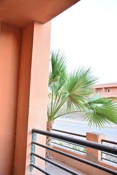 Spacious 3 bedroom apartment 